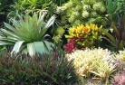Werribee Southplanting-garden-and-landscape-design-24.jpg; ?>